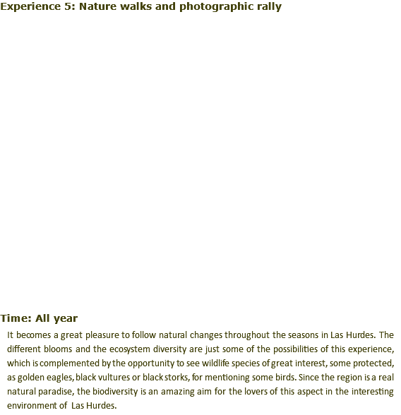 Experience 5: Nature walks and photographic rally ﷯ Time: All year It becomes a great pleasure to follow natural changes throughout the seasons in Las Hurdes. The different blooms and the ecosystem diversity are just some of the possibilities of this experience, which is complemented by the opportunity to see wildlife species of great interest, some protected, as golden eagles, black vultures or black storks, for mentioning some birds. Since the region is a real natural paradise, the biodiversity is an amazing aim for the lovers of this aspect in the interesting environment of Las Hurdes.