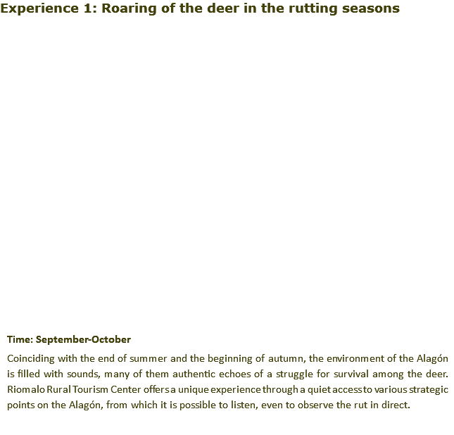 Experience 1: Roaring of the deer in the rutting seasons﷯ Time: September-October Coinciding with the end of summer and the beginning of autumn, the environment of the Alagón is filled with sounds, many of them authentic echoes of a struggle for survival among the deer. Riomalo Rural Tourism Center offers a unique experience through a quiet access to various strategic points on the Alagón, from which it is possible to listen, even to observe the rut in direct.