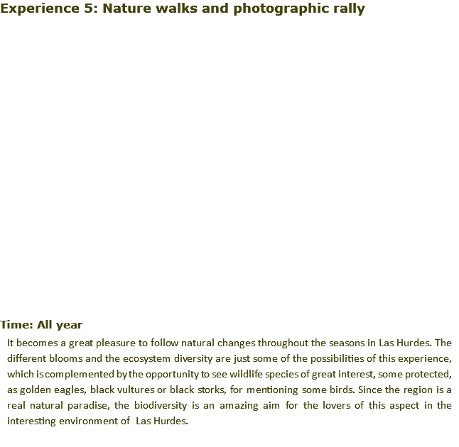 Experience 5: Nature walks and photographic rally ﷯ Time: All year It becomes a great pleasure to follow natural changes throughout the seasons in Las Hurdes. The different blooms and the ecosystem diversity are just some of the possibilities of this experience, which is complemented by the opportunity to see wildlife species of great interest, some protected, as golden eagles, black vultures or black storks, for mentioning some birds. Since the region is a real natural paradise, the biodiversity is an amazing aim for the lovers of this aspect in the interesting environment of Las Hurdes.