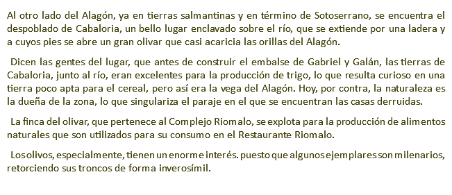 Al otro lado del Alagón, ya en tierras salmantinas y en término de Sotoserrano, se encuentra el despoblado de Cabaloria, un bello lugar enclavado sobre el río, que se extiende por una ladera y a cuyos pies se abre un gran olivar que casi acaricia las orillas del Alagón. Dicen las gentes del lugar, que antes de construir el embalse de Gabriel y Galán, las tierras de Cabaloria, junto al río, eran excelentes para la producción de trigo, lo que resulta curioso en una tierra poco apta para el cereal, pero así era la vega del Alagón. Hoy, por contra, la naturaleza es la dueña de la zona, lo que singulariza el paraje en el que se encuentran las casas derruidas. La finca del olivar, que pertenece al Complejo Riomalo, se explota para la producción de alimentos naturales que son utilizados para su consumo en el Restaurante Riomalo. Los olivos, especialmente, tienen un enorme interés. puesto que algunos ejemplares son milenarios, retorciendo sus troncos de forma inverosímil.